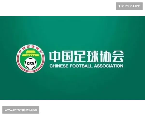 陕西队在中超联赛的表现分析与未来发展前景展望 陕西队在中超联赛的表现分析与未来发展前景展望